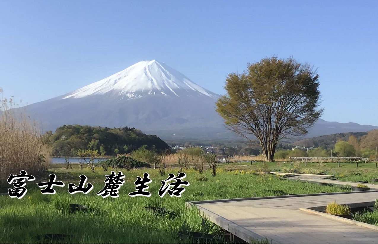 河口湖観光 おすすめグルメ ランチ カフェ Happy Days Cafe 富士山麓生活