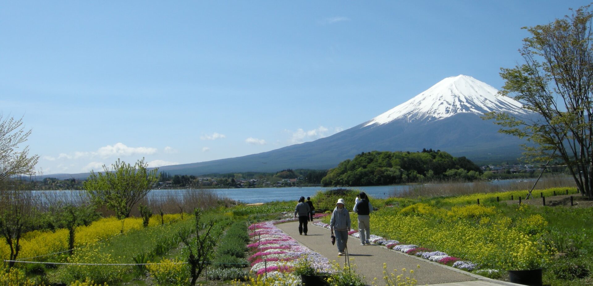 湖越しに富士山の見える人気ホテルの選び方【河口湖のおすすめ宿】